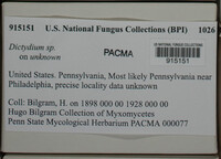 Image Associated With the Occurence